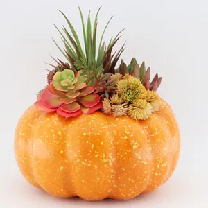 factory Outlet artificial Succulents, assorted decorative faux succulent potted foam pumpkin pots, halloween decoration