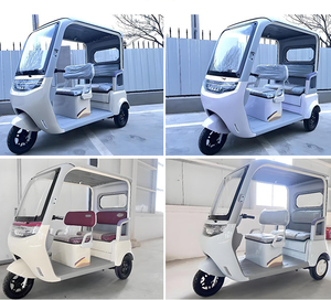 Tricycle électrique avec siège double large intégré, haute puissance, auvent pour usage domestique - Product Image 6