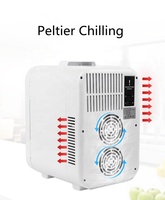 Machine à café portable 10L avec mini-réfrigérateur à lait et trou pour tube, idéale pour la voiture, réservoir à lait inclus