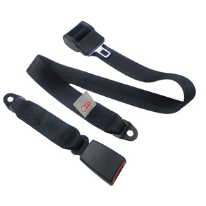 Cinturón de Seguridad de Dos Puntos de Nylon para Camioneta Ligera de 30 cm con Función de Retracción Automática - Product Image 1