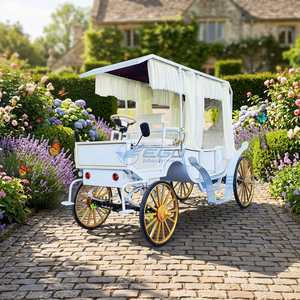 Chariot de tourisme blanc pour fabricants, avec chariot à chevaux de loisirs en forme de cœur, pour transport spécial, à vendre - Product Image 1