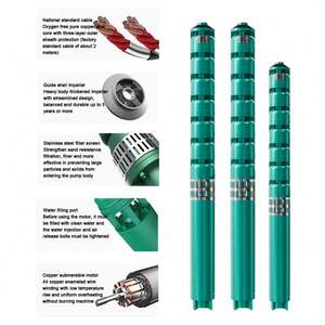 Bomba Sumergible de Alta Presión y Alto Caudal para Pozos Profundos de 3/4 Pulgadas, para Riego Agrícola - Product Image 2