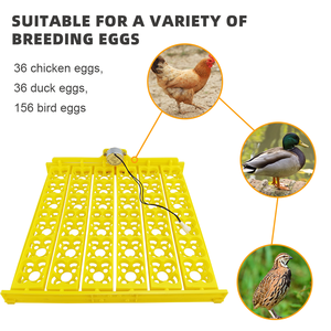 ถาดใส่ไข่คุณภาพดี 36-156 ฟอง สำหรับไข่ไก่ ไข่เป็ด ไข่ห่าน ถาดใส่ไข่แบบหมุนรูปดอกไม้สี่กลีบ - Product Image 3