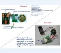 Modulo Audio Programmabile Mini USB con Stampa UV Portatile per Cartoline Promozionali, Biglietti d'Auguri, Carillon e Giocattoli