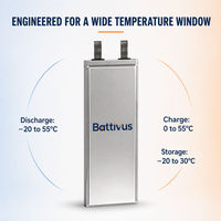 Baterai Lithium Ion Pouch SiCore NMC Amprius SA02 11.25Ah 3.5V 39.38Wh 33A Kontinu 55A Pulsa untuk Drone, Penerbangan, dan eMobilitas