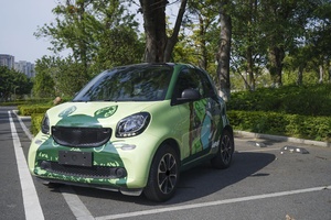 <span class=keywords><strong>Film</strong></span> de protection de voiture imprimé personnalisé, design graphique personnalisé pour véhicule, imperméable et résistant aux UV - Product Image 6