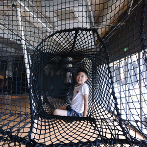 Netstribe Black Indoor corda trampolino e Swing Set | Soft Play Ball Swing e reti da arrampicata per uso parco giochi integrato - Product Image 4