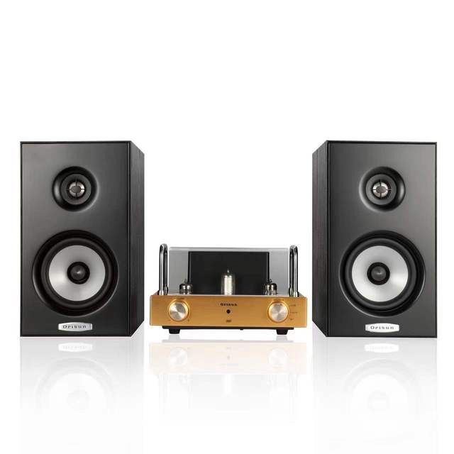 Stereo Amplifier Tubed Amplifier Integrated Tubed Amplifier & Power Amplifier & Headphones Amp All in One Sent with High