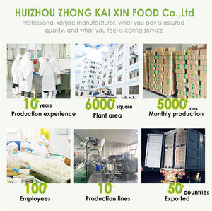 Mie Shirataki Segar Tanpa Karbohidrat Grosir, Pasta Rendah Kalori Konjac Spaghetti Kedelai dalam Kemasan 200g untuk Anak-anak & Dewasa - Product Image 6