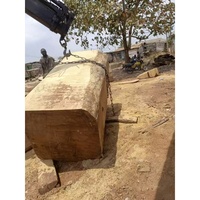 Bois dur africain d'iroko au prix le plus bas Bois scié plancher de meubles grumes du Nigeria