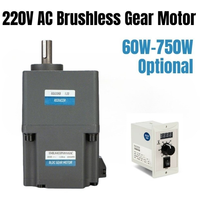 Controlador de Motor de Engranajes Sin Escobillas PLC, Alto Torque, Baja Velocidad, Reducción AC 220v, Venta al Por Mayor