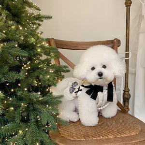 Sonbahar kış giyim köpekler için zarif katı desen sevimli klasik rahat Polyester elbise prenses yavruları dekoratif - Product Image 5