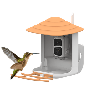 Mangeoire intelligente extérieure étanche à énergie solaire avec caméra - Product Image 6
