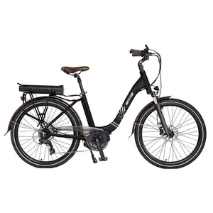 Directo de fábrica Turquía scooter Eléctrico bicicleta/dos asiento de bicicleta eléctrica/Gran dos ruedas de equilibrio scooter Eléctrico para la venta caliente