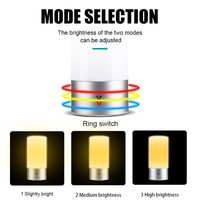 VISION Lighting Factory Touch Contral RGB et Steps Gradation Led Night Lamp Lampe de table LED personnalisée