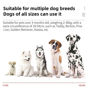 2024 Neue intelligente Haustier halsbänder Einfacher Stil Hot Selling Bark Stopper Wirksam gegen Hunde bellen - Product Image 5