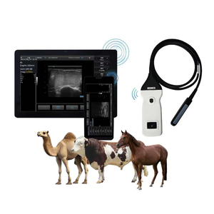 <span class=keywords><strong>เครื่อง</strong></span>อัลตราซาวนด์ไร้สายสำหรับสัตว์พร้อมหัวตรวจแบบเส้นตรงสำหรับตรวจการตั้งครรภ์ในโค แกะ แพะ ม้า - Product Image 1