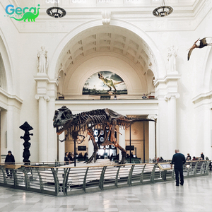 Gecai Museum Modèle de <span class=keywords><strong>squelette</strong></span> de dinosaure grandeur nature personnalisé T-rex fossile - Product Image 1