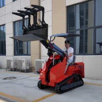 Mini Track Skid Steer Loader met meerdere aanbouwdelen, kleine mini-skidsteerlader, EPA Euro 5 gecertificeerd, 2 jaar garantie