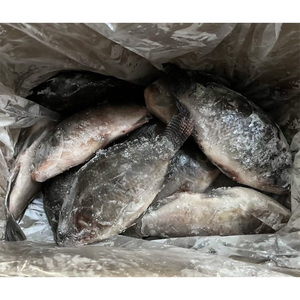 Cá rô phi đông lạnh cá rô phi đông lạnh cá rô phi đông lạnh xuất khẩu - Product Image 3