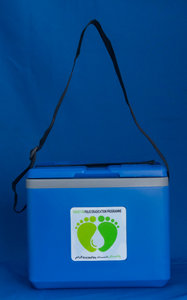 Portable <b>Custom</b> Modern Thermal <b>Insulated</b> Cooler <b>Box</b> 12L with Reusable PP & PE Ice Pack for Outdoor Camping and Medical Use - Product Image 3