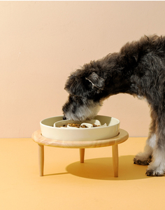スローフィーダー猫犬ボウルセラミック素材メーカー卸売高級 - Product Image 2
