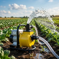 Pompe solaire auto-amorçante à haut débit DC, support en aluminium moulé antirouille, pompe à eau solaire portable pour l'irrigation des fermes et des jardins