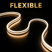 Bande LED néon en silicone souple et flexible pour usage professionnel, CRI 90 élevé, DC24V, éclairage créatif, décoration personnalisée, étanche IP67, BIS CE