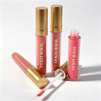 Gloss à lèvres élégant en tube fin avec capuchon doré et tube transparent pour filles élégantes, fini miroir, maquillage propre