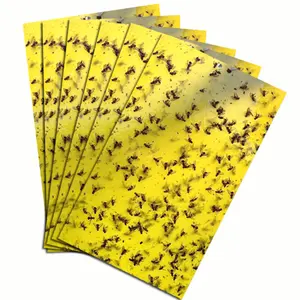 热卖6x 8英寸黄色粘胶诱捕器室内飞行植物昆虫杀手