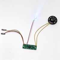 Boîtier d'insectes XINXING Stream PCBA, carte PCB LED musicale et lumineuse, personnalisée COB Chenghai