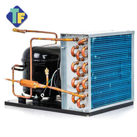 Représentation fiable 1/2HP à 2HP R404a 110V 60Hz unité de condensation de réfrigération pour la machine de refroidisseur de bière froide