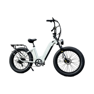 20 pollici 750w doppio pneumatico grasso elettrico Mountain Bike Vintage Bici elettrica 2 posti Beach Cruiser Max - Product Image 1