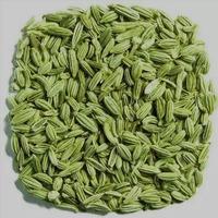 Graines de fenouil vert entières de haute qualité, vente directe d'origine, épices chinoises Huaran, vente en gros