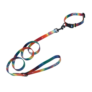 Correa y <span class=keywords><strong>Collar</strong></span> para Perro de Nailon con Estampado de Arcoíris de Moda de Lujo Personalizado con Función de Liberación Rápida para Caminar y Correr de Forma Segura - Product Image 4