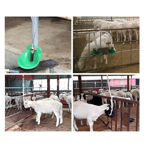 Sistema Automático de Agua Potable para Ganado, <span class=keywords><strong>Bebedero</strong></span> de <span class=keywords><strong>PVC</strong></span> con Válvula para Ovejas, Cabras y Cerdos - Product Image 6