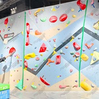 Panneau mural d'escalade préfabriqué en contreplaqué avec impression artistique et goujons en T pour une utilisation à domicile, à l'école, dans les salles de sport commerciales
