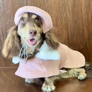 Roupas quentes para cães de lã, casaco feito à mão estilo britânico para cães, roupas para outono-inverno - Product Image 5