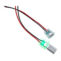 Câble de base étanche pour lampe à ruban adhésif à injection directe transparente TYPE C 2P