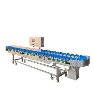 apple fruit sorting machine/seafood grading sorting machine/citrus fruit potato sorting machine small size fruit sorting machine