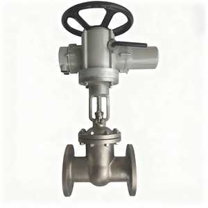 Válvula de Compuerta con Brida Z941W-16P de Acero Inoxidable Sellada DN100 PN16 220V/380V para Uso en la Industria Química - Product Image 5