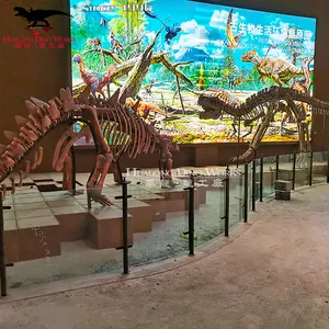 博物馆出售真正的恐龙骨架恐龙化石