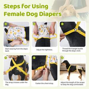 Customized EXW Velcroes Material for Cats&amp;dogs Environmentally Friendly Recyclable Soft <strong>and</strong> Comfortable Washable <strong>Hook</strong> <strong>and</strong> <strong>Loop</strong> - Product Image 4