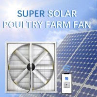 Ventilateur mural de refroidissement axial solaire DC industriel et commercial, grande boîte d'évacuation d'air pour élevage de bovins et écurie de chevaux