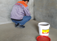 Revêtement imperméable de conception moderne Js ciment polymère pour mur extérieur