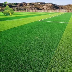 <span class=keywords><strong>Alfombra</strong></span> de fútbol natural de la mejor calidad, <span class=keywords><strong>semillas</strong></span> de césped para cancha de fútbol, césped sintético artificial para cancha deportiva - Product Image 5