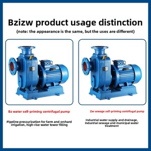 ปั๊มหอยโข่งแบบแนวนอนเชื่อมต่อโดยตรงสำหรับน้ำสะอาด BZ และน้ำเสีย ZW แบบปรับแต่งได้พร้อมระบบดูดน้ำเอง - Product Image 3