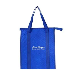 High Quality Non Woven Composite Dot Embossed Insulation Bag With Handle Cooler Bag For Packaging