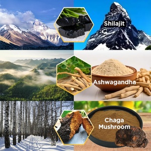 Gomitas de Shilajit de Marca Privada Chinaherbs, Vitaminas Orgánicas para Adultos, Mejora la Energía Masculina y los Minerales, Producto Vitamínico de Shilajit - Product Image 5