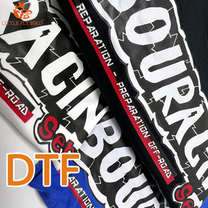 Màu Trắng Và Màu Xanh Quần Áo Các Nhà Sản Xuất Biểu Tượng Tùy Chỉnh In 250gsm Quá Khổ Áo Phông Cao Cấp Dtf Thể Thao T Áo Sơ Mi - Product Image 4